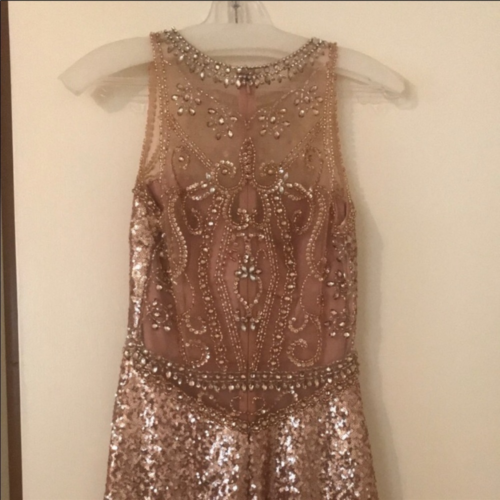 Sequined Rose Gold Dress - Picture 3 of 6